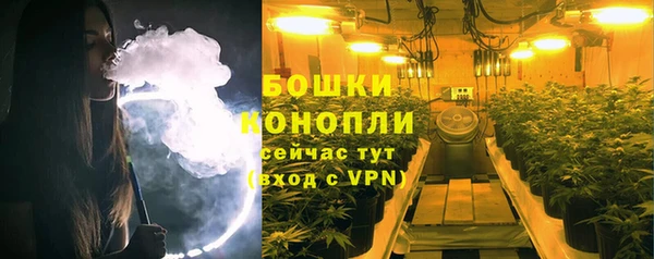 дмт Верея